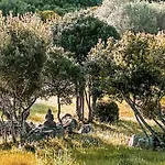 Nel Bosco By Interhome Casa de Férias