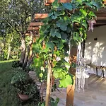 Nel Bosco By Interhome Casa de Férias *