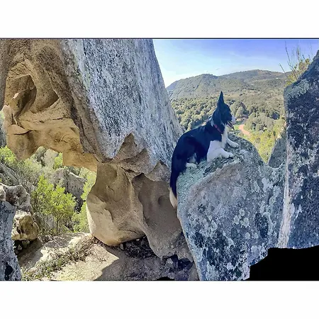 Prázdninový dům Nel Bosco By Interhome Porto San Paolo (Sardinia)